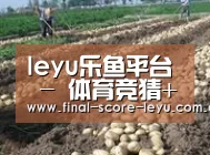 种植基地八
