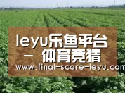 种植基地五