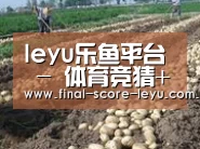 种植基地七(图1)