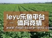种植基地五(图1)