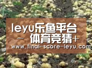 种植基地八(图1)