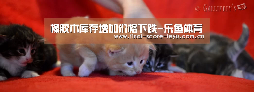 乐鱼体育